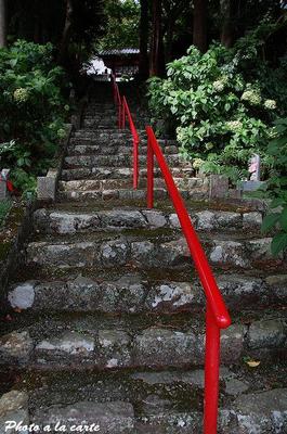 遠州森町蓮華寺・晩夏、萩寺参り
